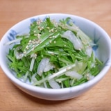 白菜と水菜のシャキシャキ中華風サラダ